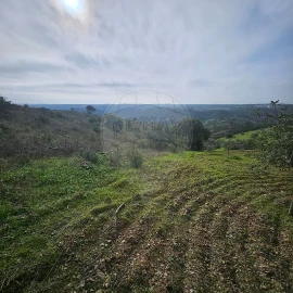 Terreno para Venda em Azinhal