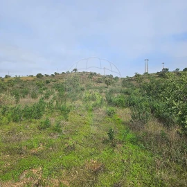 Terreno para Venda em Azinhal