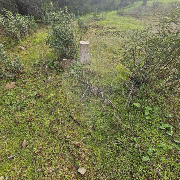 Terreno para Venda em Azinhal Foto 18