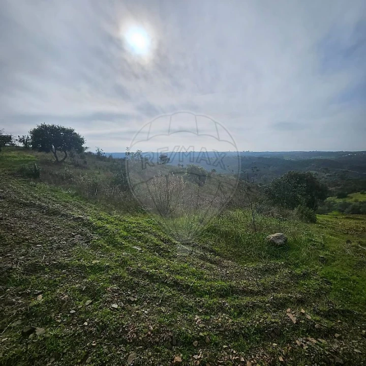 Terreno para Venda em Azinhal Foto 5