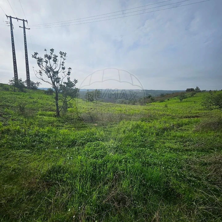Terreno para Venda em Azinhal Foto 12