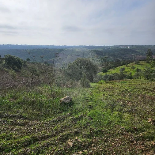 Terreno para Venda em Azinhal Foto 7