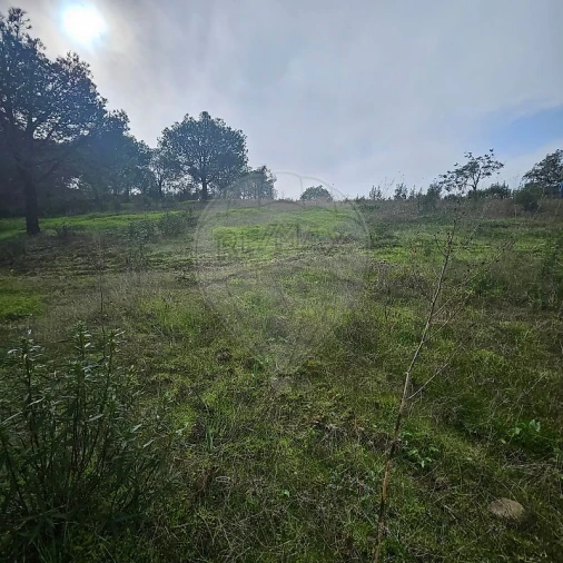 Terreno para Venda em Azinhal Foto 17