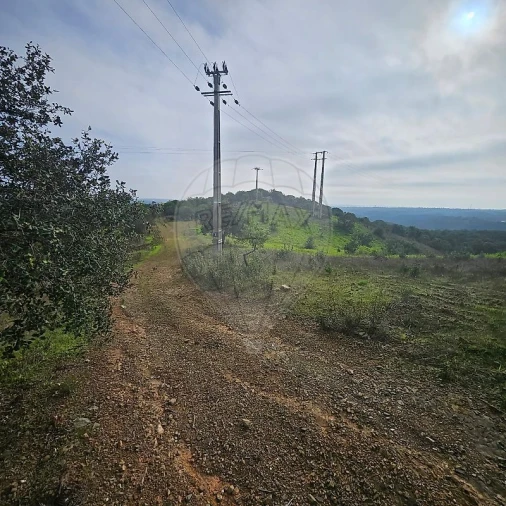 Terreno para Venda em Azinhal Foto 8