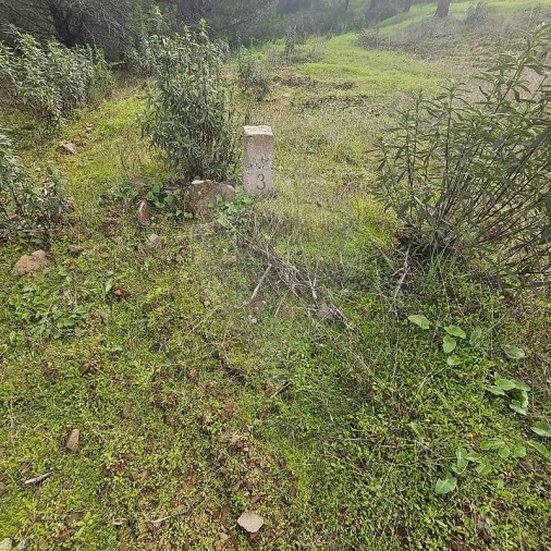 Terreno para Venda em Azinhal Foto 18