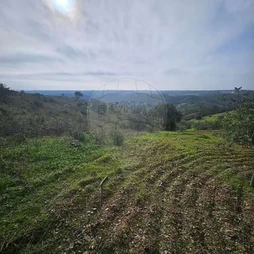 Terreno para Venda em Azinhal Foto 6