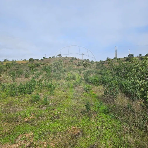 Terreno para Venda em Azinhal Foto 4