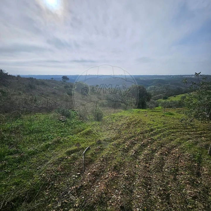 Terreno para Venda em Azinhal Foto 6