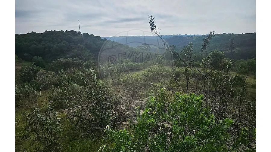 Terreno para Venda em Azinhal