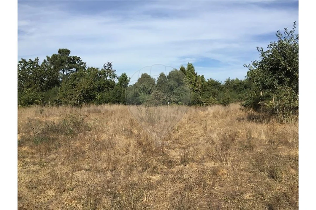 Terreno para Venda em Campanhã Foto 3
