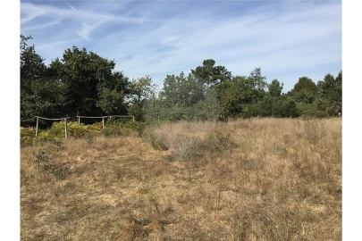 Terreno para Venda em Campanhã
