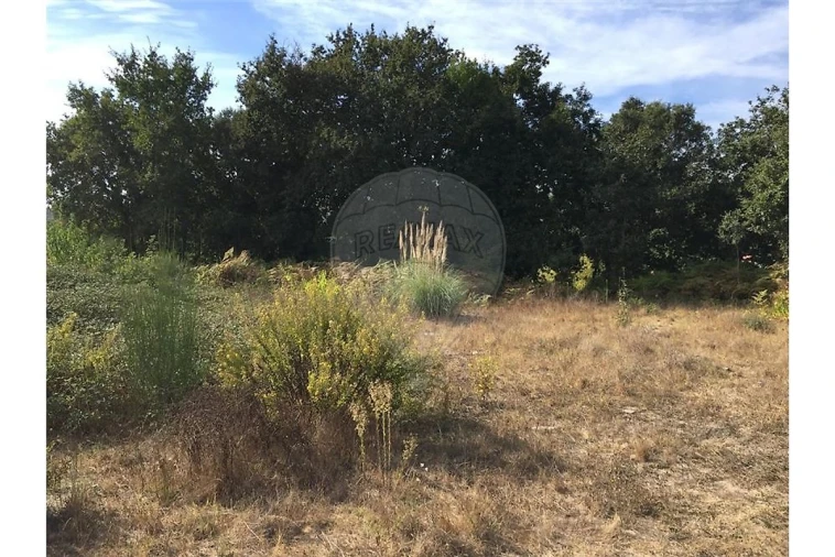 Terreno para Venda em Campanhã Foto 4