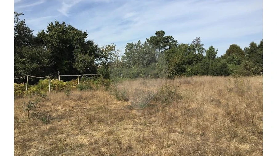 Terreno para Venda em Campanhã