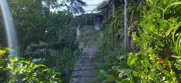 Prédio para Venda em Campanhã