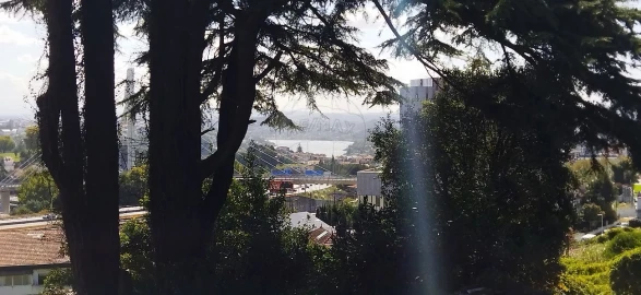 Prédio para Venda em Campanhã