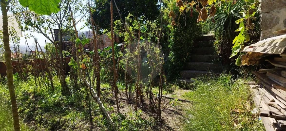 Prédio para Venda em Campanhã