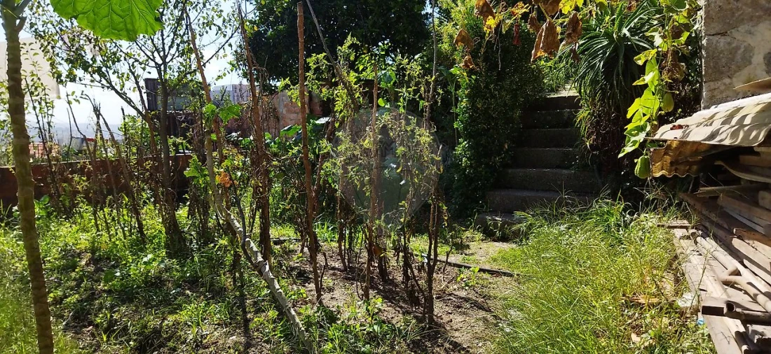 Prédio para Venda em Campanhã Foto 5