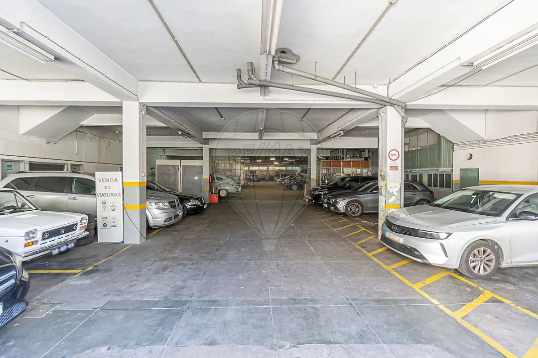Negócio para Venda em Paranhos Foto 13