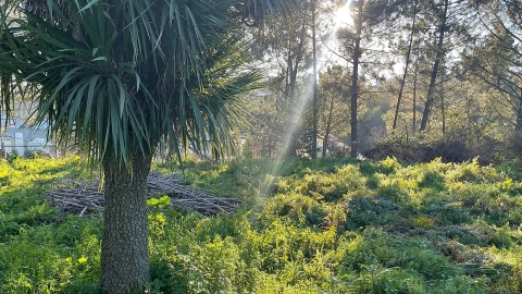 Terreno para Venda em Campanhã