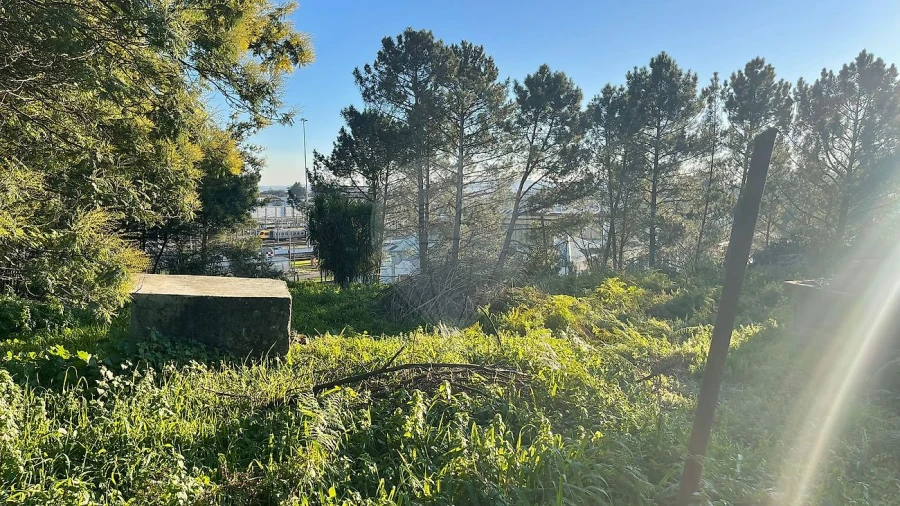 Terreno para Venda em Campanhã Foto 5