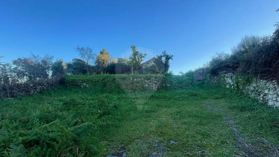 Terreno para Venda em Campanhã Foto 8