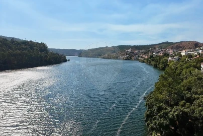 Terreno para Venda em Rio Mau