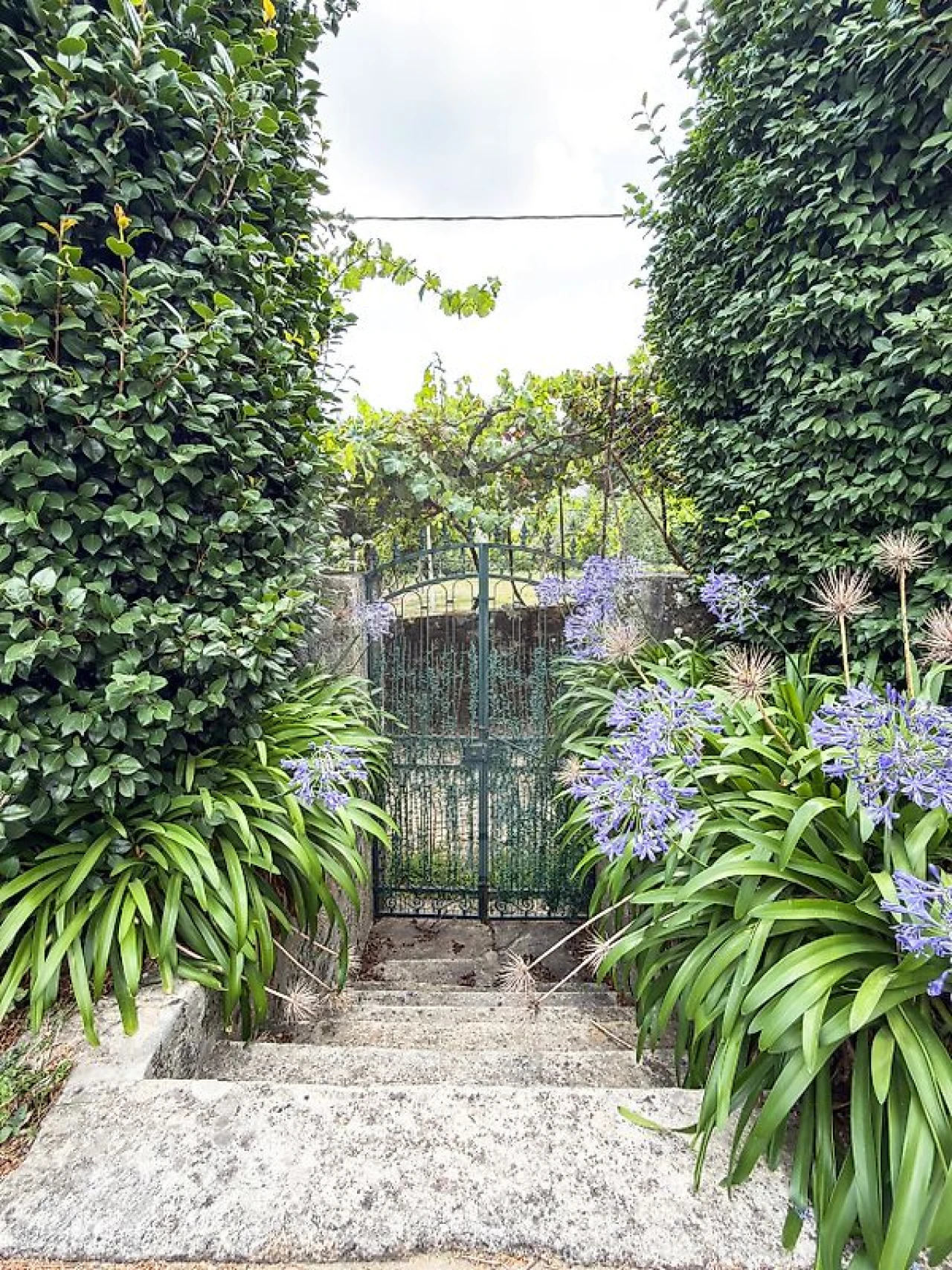 Quinta T4 para Venda em Arnoia Foto 32