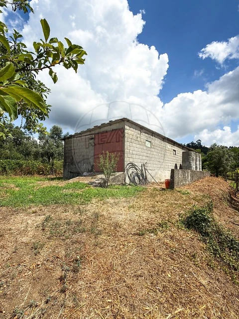 Quinta T4 para Venda em Arnoia