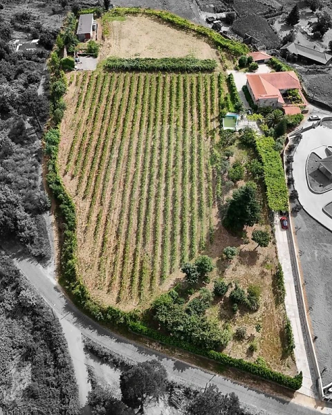 Quinta T4 para Venda em Arnoia