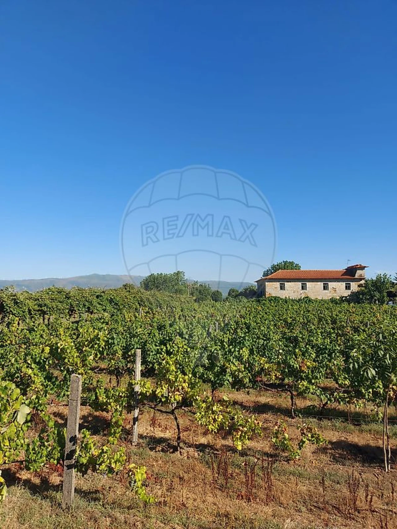 Quinta T4 para Venda em Arnoia Foto 3