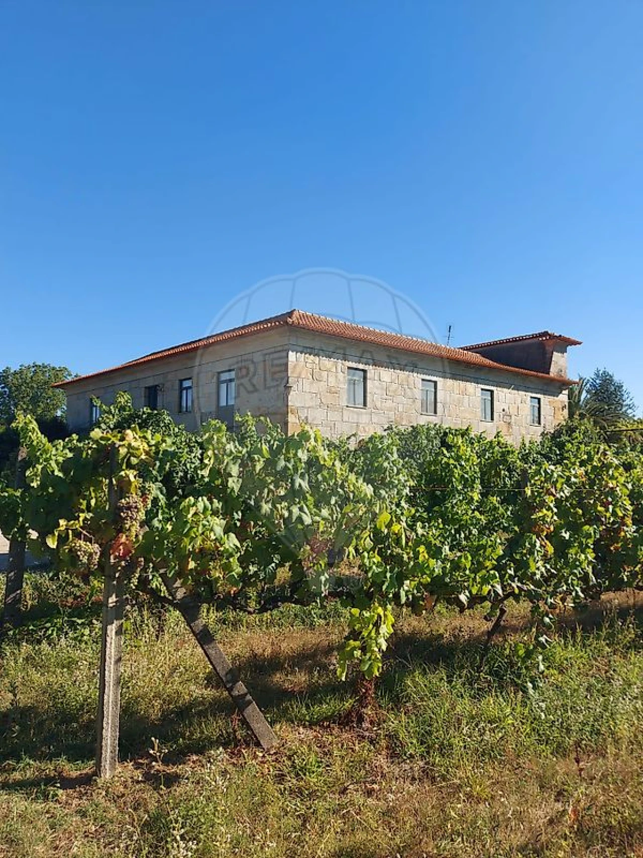 Quinta T4 para Venda em Arnoia Foto 4