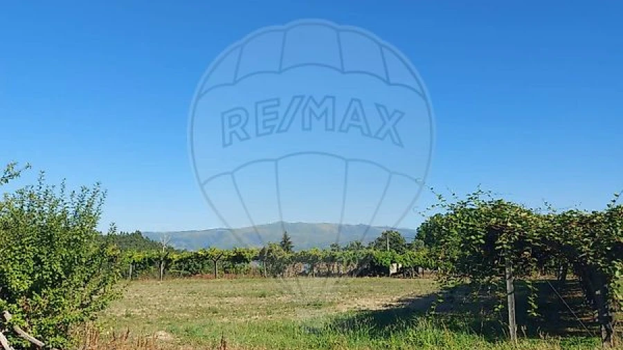 Quinta T4 para Venda em Arnoia
