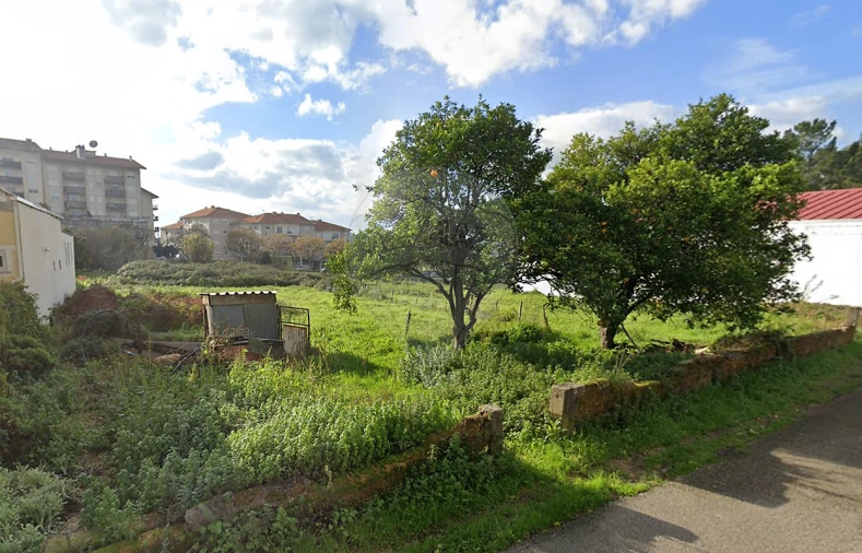 Terreno para Venda em Sangalhos Foto 3