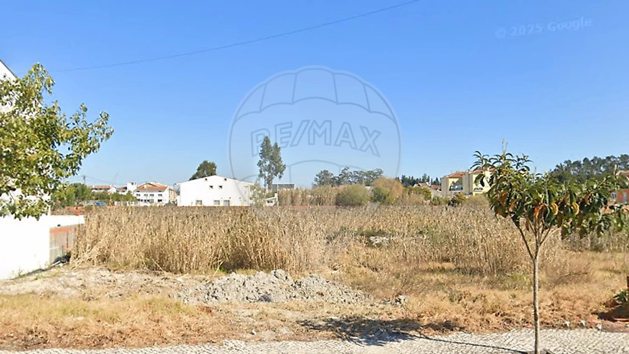 Terreno para Venda em Vagos e Santo António