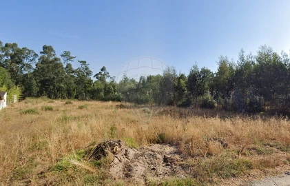 Terreno para Venda em Mealhada, Ventosa do Bairro e Antes