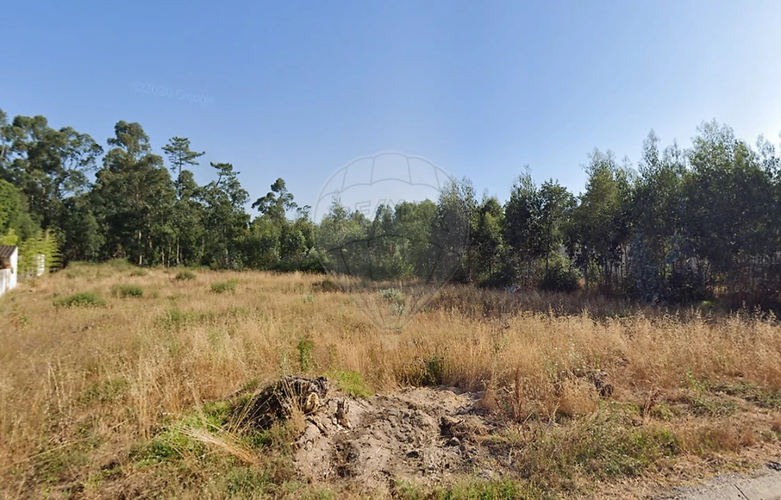 Terreno para Venda em Mealhada, Ventosa do Bairro e Antes Foto 4