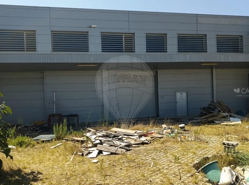 Armazém para Venda em Préstimo e Macieira de Alcoba Foto 4