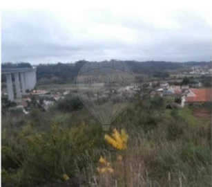 Terreno para Venda em Recardães e Espinhel