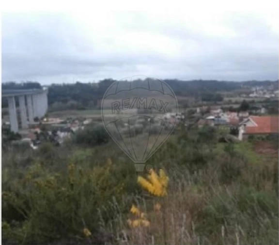 Terreno para Venda em Recardães e Espinhel Foto 4