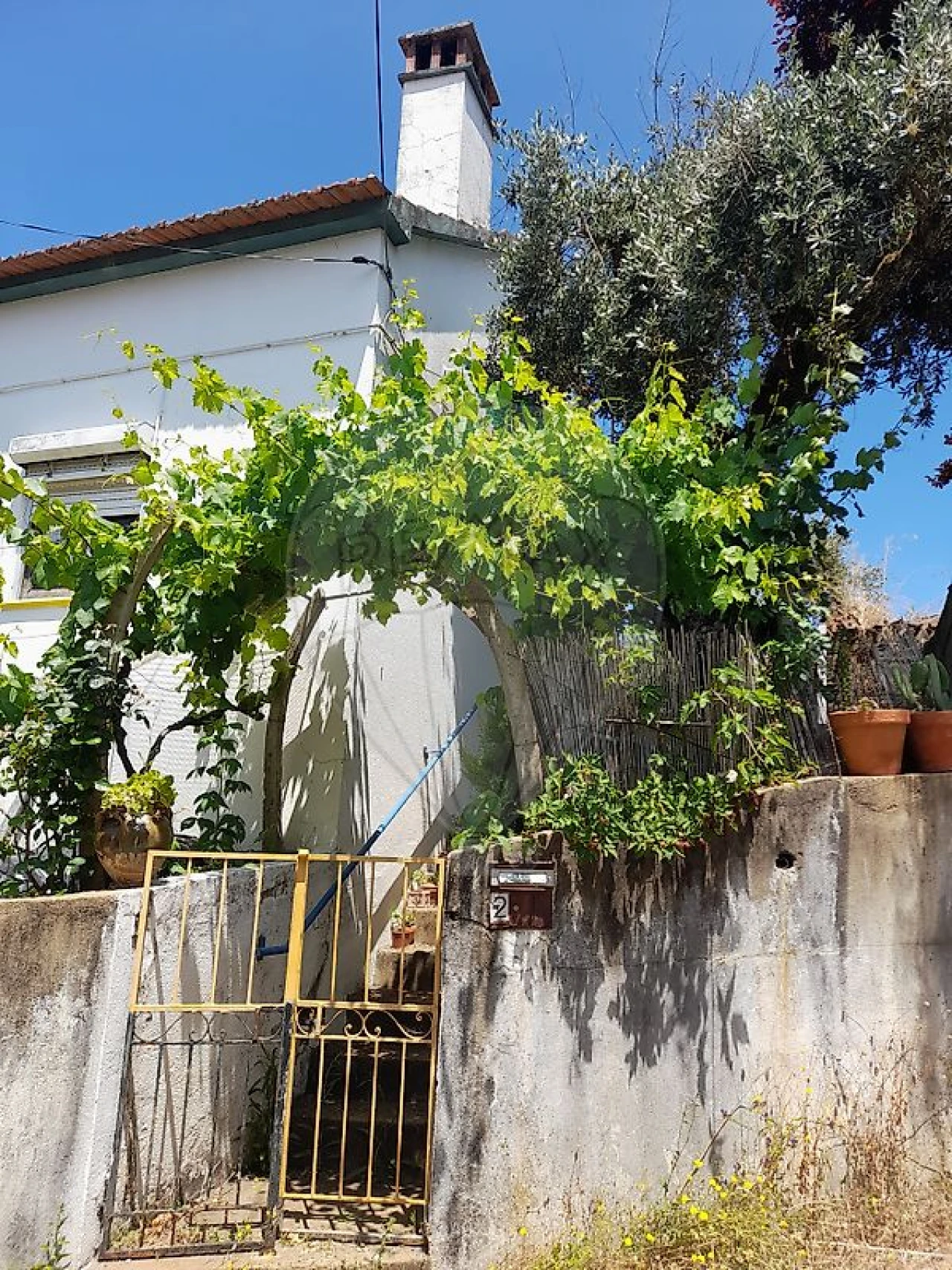 Moradia T2 para Venda em Sertã Foto 2