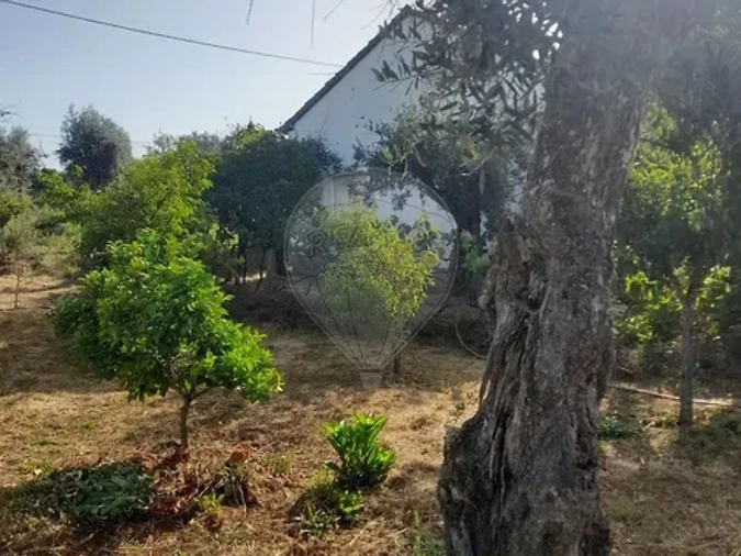 Moradia T2 para Venda em Sertã Foto 12