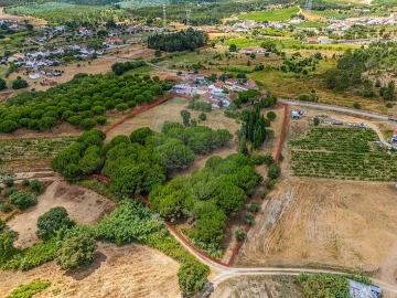 Quinta T3 para Venda em Alcoentre