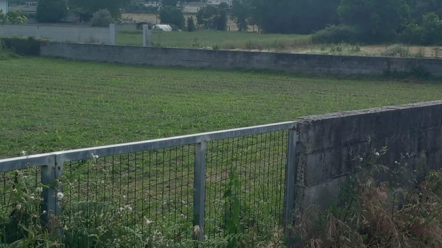 Terreno para Venda em Carreira e Bente
