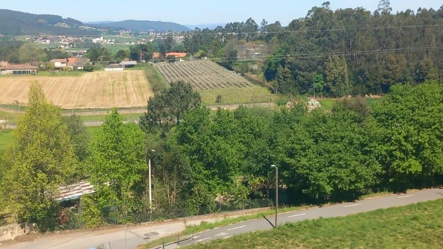 Terreno para Venda em Vila Nova de Famalicão e Calendário