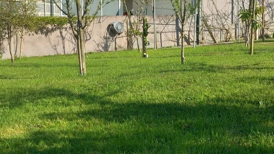 Terreno para Venda em Delães
