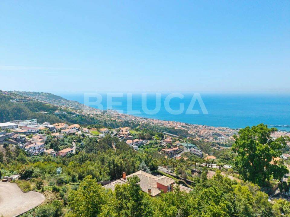 Moradia T3 para Venda em São Martinho Foto 4