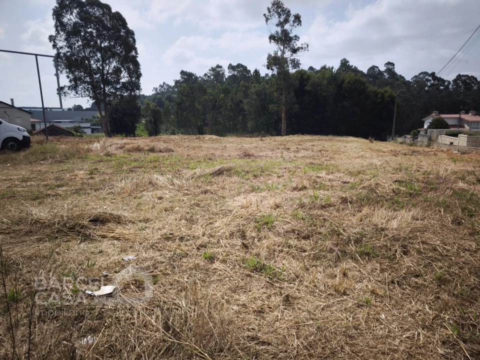 Terreno para Venda em Negreiros e Chavão Foto 5