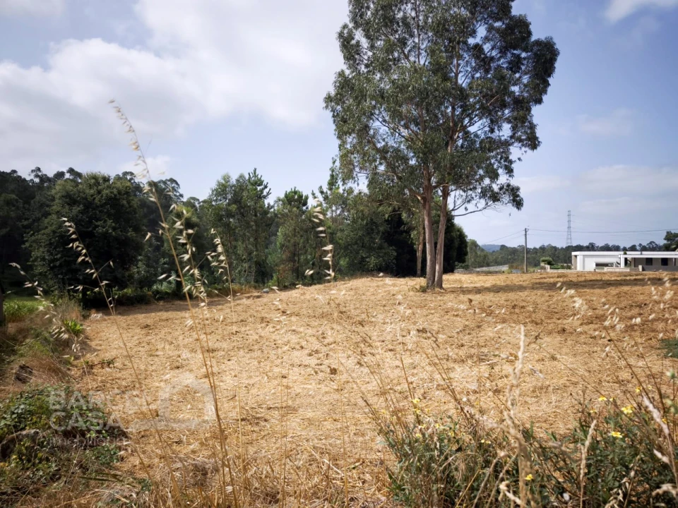 Terreno para Venda em Negreiros e Chavão Foto 6