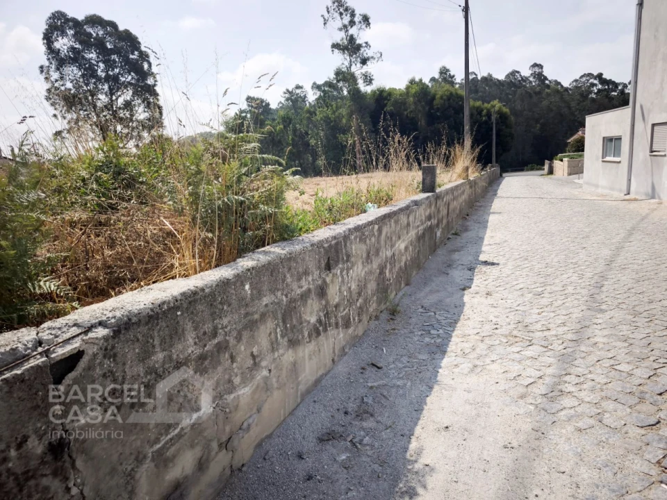Terreno para Venda em Negreiros e Chavão Foto 8