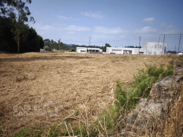 Terreno para Venda em Negreiros e Chavão